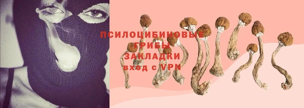 дмт Арсеньев