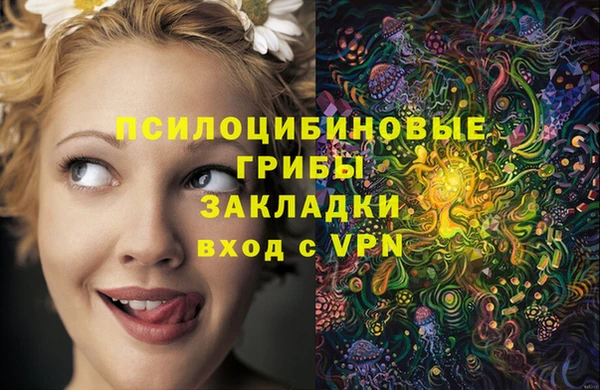 ALPHA PVP Армянск