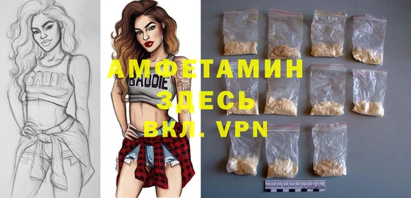 дмт Арсеньев