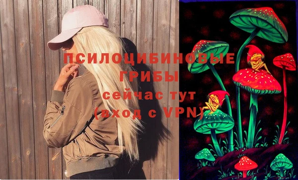 ALPHA PVP Армянск